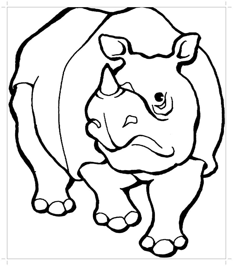Раскраска  раскраска носорог. Дикие животные