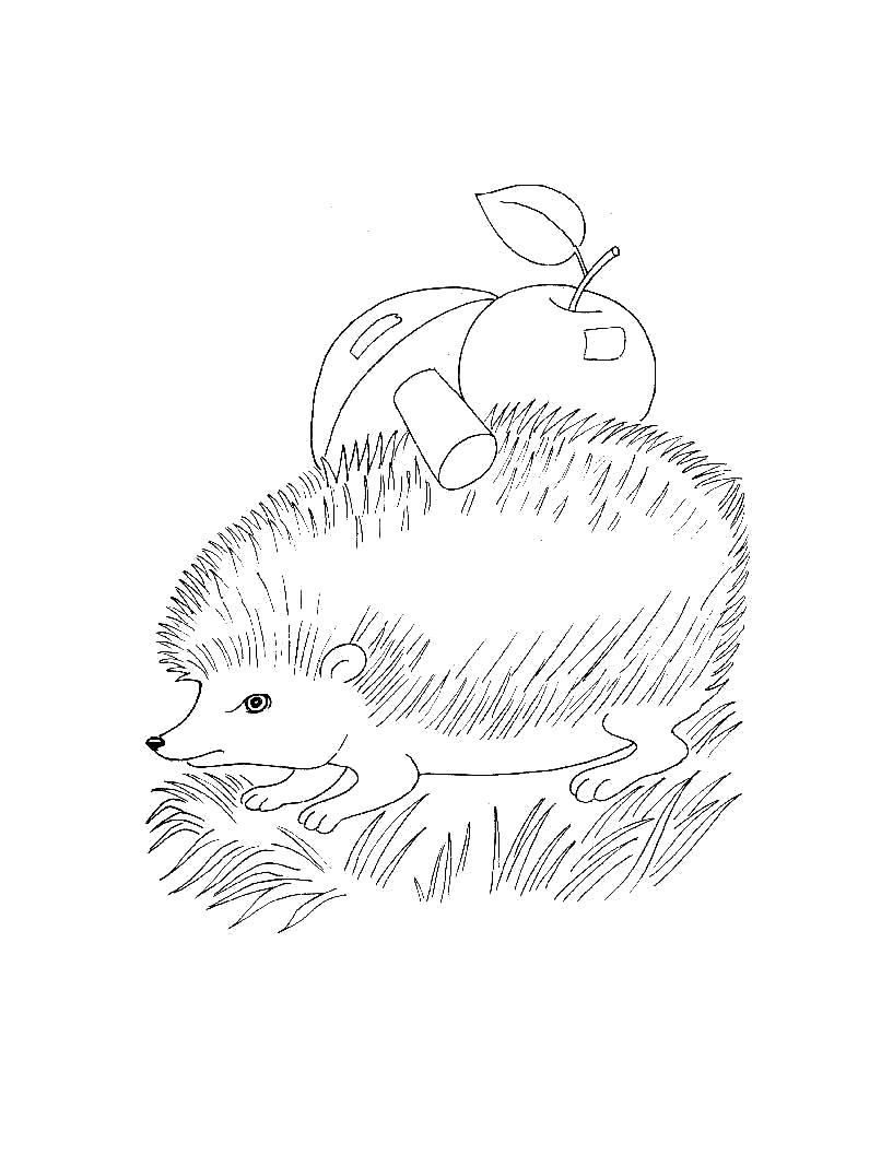 Название: Раскраска Раскраска для самых маленьких - Дикие животные. Ежик с грибом и яблоками. Категория: Дикие животные. Теги: Ежик.