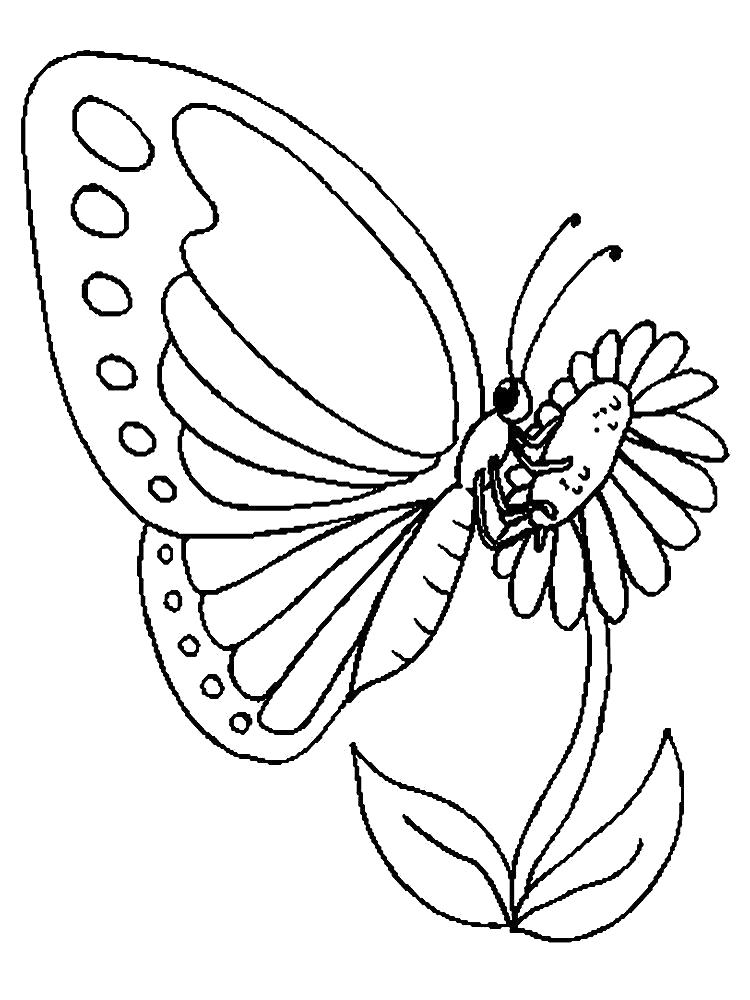 Раскраски картинки для всех возростов Раскраска Бабочка на цветке Насекомые