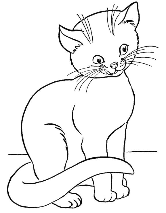 Раскраска  кошка сиамская. Домашние животные