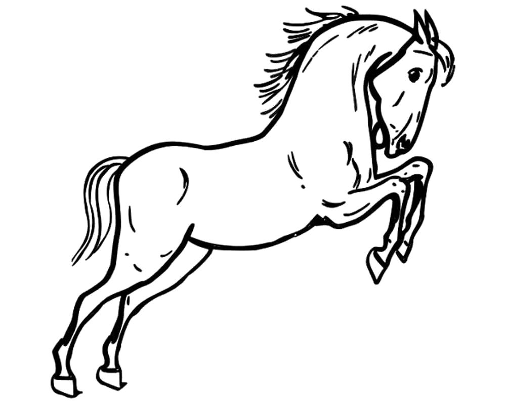 Раскраска Конь. Домашние животные