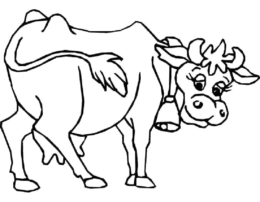 Раскраска Раскраска корова, смешная корова. Корова
