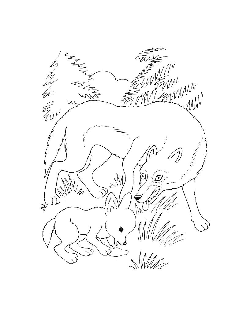 Раскраска  для самых маленьких - Дикие животные. Волк с волченком. . Скачать волк.  Распечатать Дикие животные