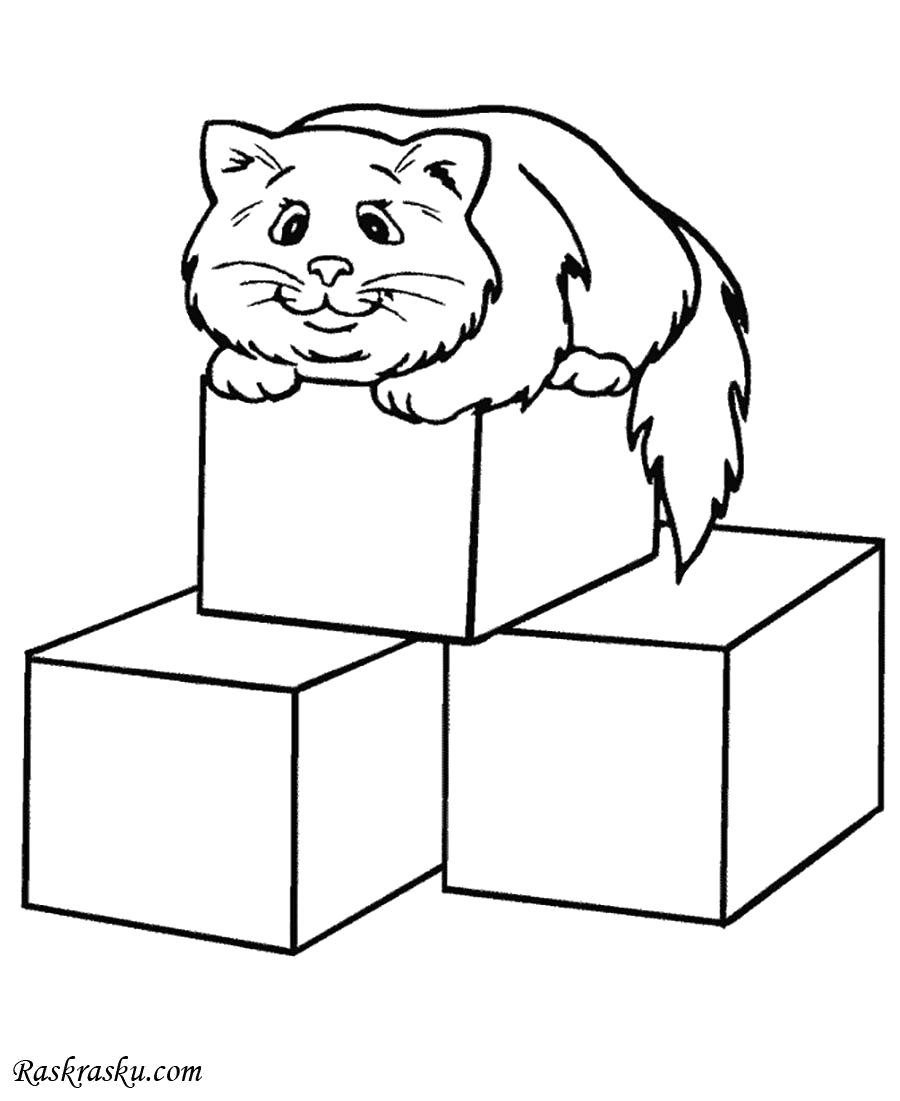 Раскраска Кошка на кубиках. Скачать кошка.  Распечатать кошка