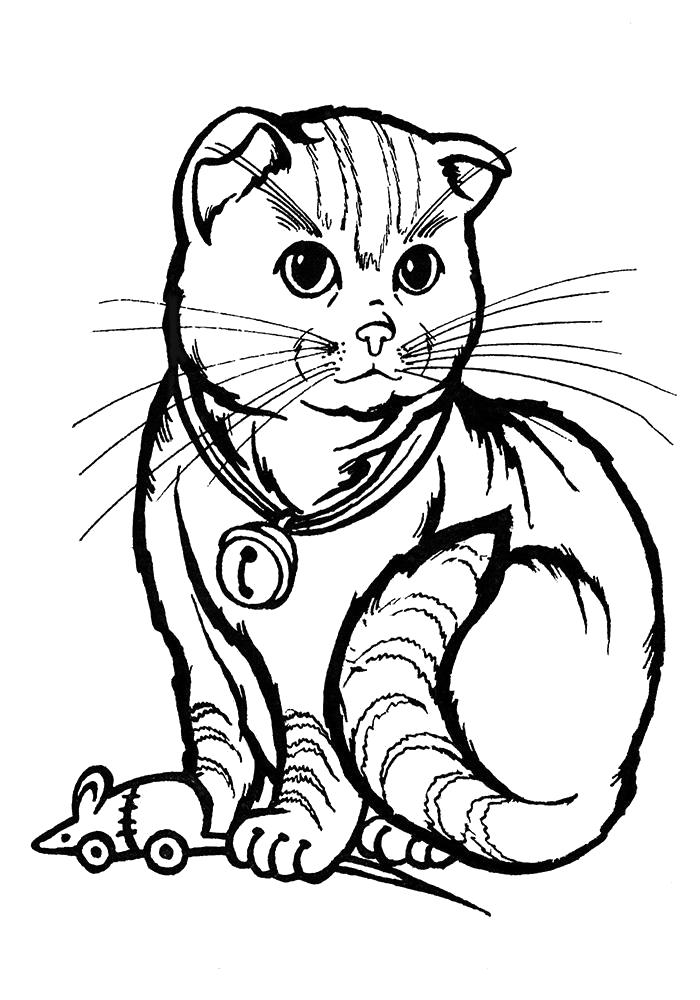 Раскраска Рисунок кошки для . Скачать кошка.  Распечатать Домашние животные