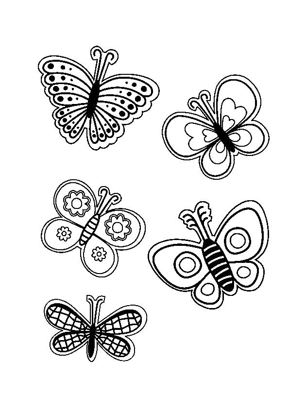 Раскраска бабочки, бабочки летают. Весна