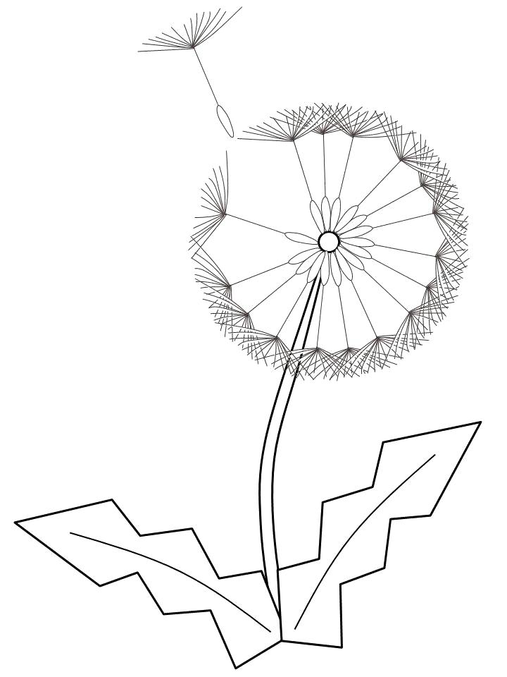 Раскраска Одуванчик. цветы
