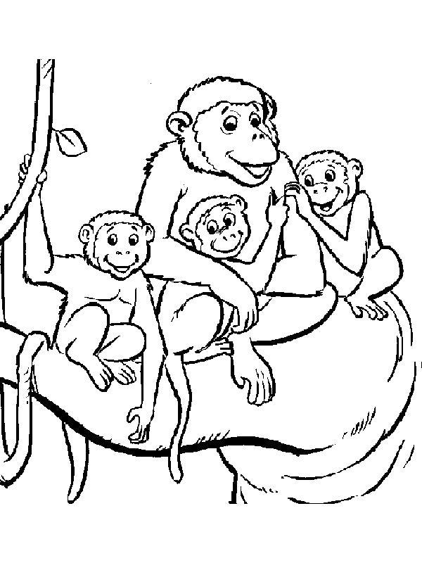 Раскраска семейство обезьян. Скачать .  Распечатать 