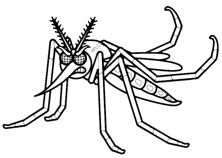 Название: Раскраска злой комар. Категория: Насекомые. Теги: Комар.