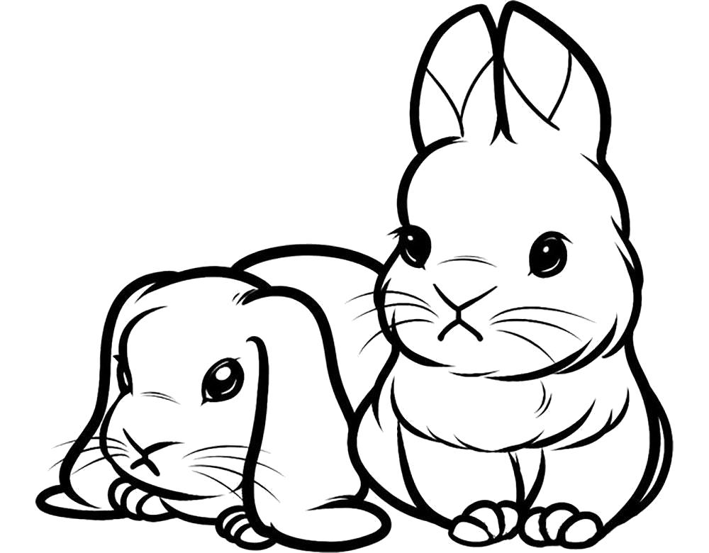 Раскраска Раскраска кролики, милые кролики. Кролик