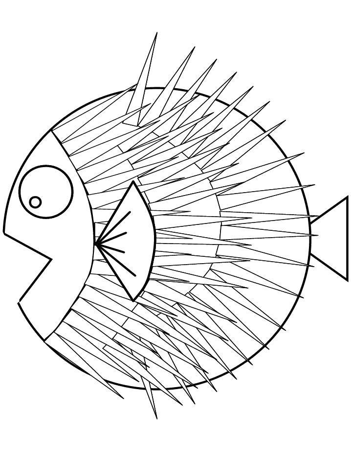 Раскраска  Подводный мир  рыба еж с колючками. Скачать рыбы.  Распечатать Рыбы