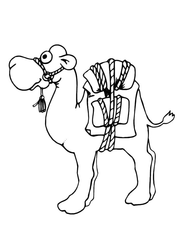 Раскраска Раскраска Верблюд с седлом. Верблюд