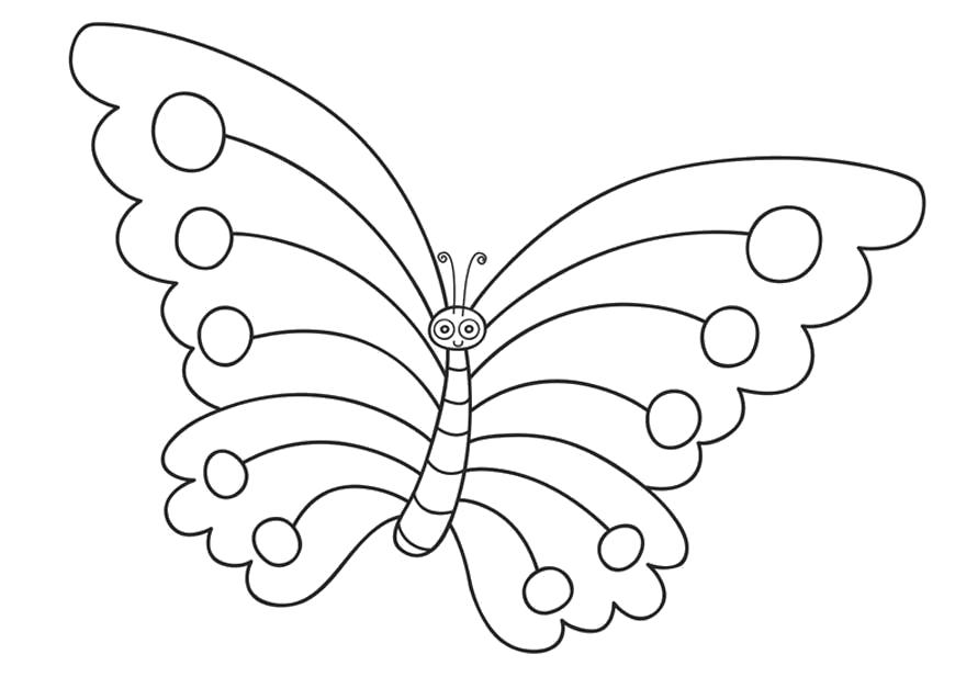 Раскраска бабочка с кружками на крыльях. Бабочки