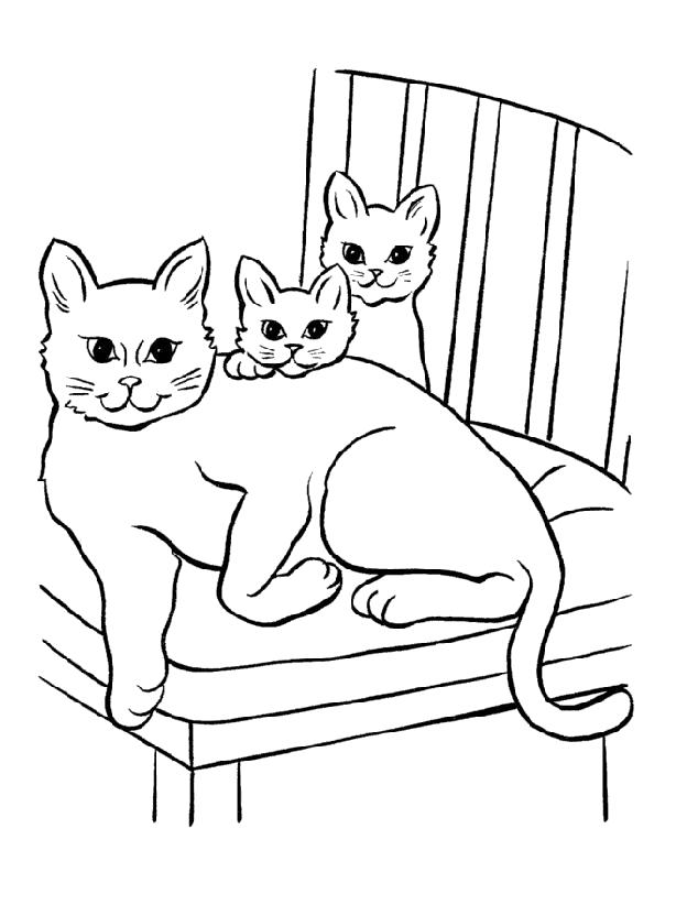 Название: Раскраска Раскраска Кошка. Категория: Домашние животные. Теги: кошка, Котенок.