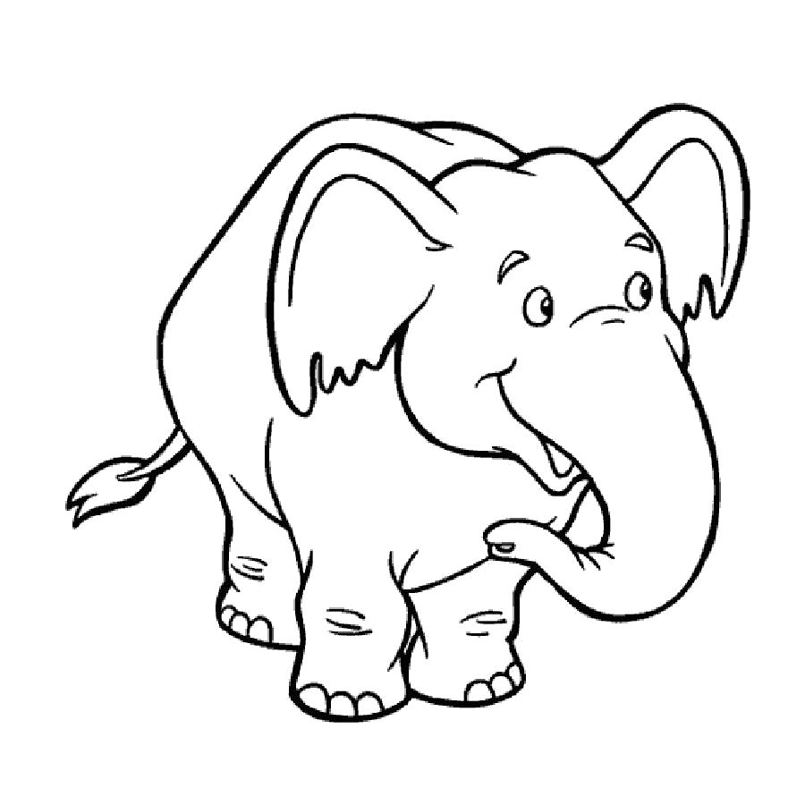 Слон картинка раскраска