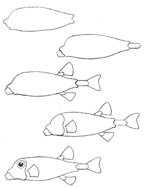 Раскраска Как нарисовать рыбу поэтапно. Скачать Как нарисовать.  Распечатать Как нарисовать
