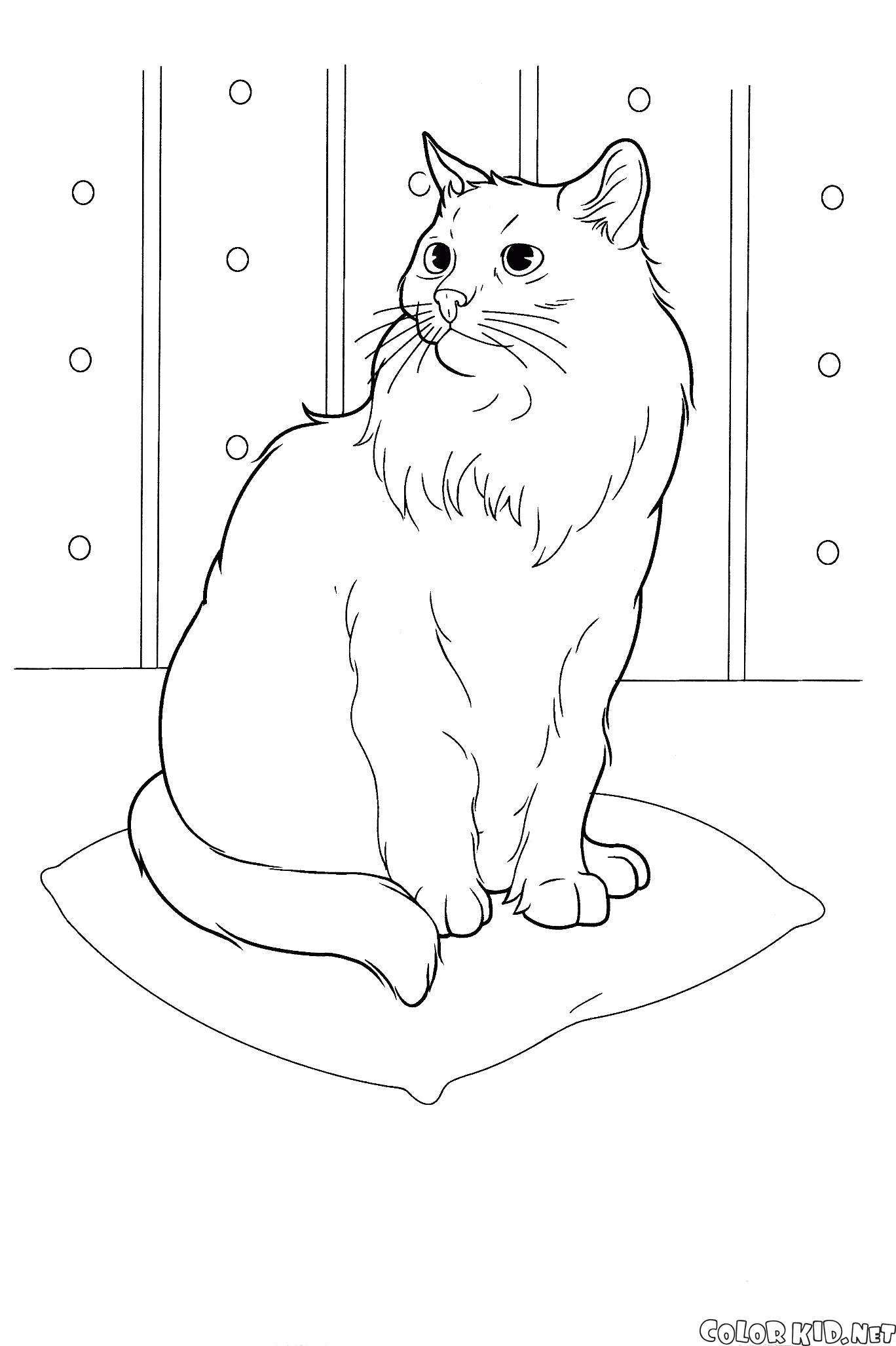 Название: Раскраска кошка на подушке. Категория: кошка. Теги: кошка.