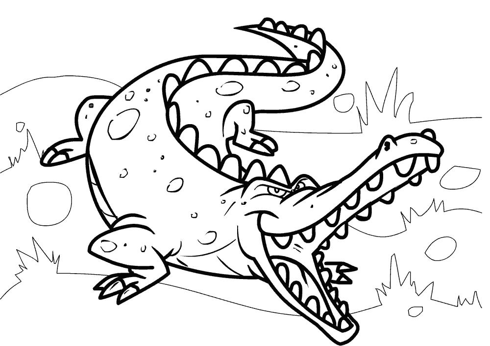 Название: Раскраска Злой крокодил готов к нападению.. Категория: Дикие животные. Теги: крокодил.