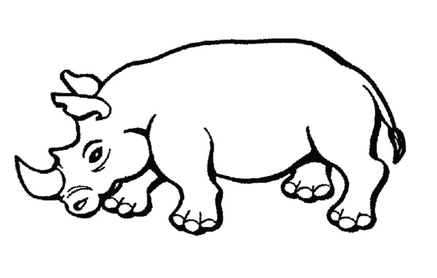 Название: Раскраска носорог идет. Категория: Дикие животные. Теги: Носорог.