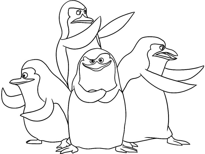 Раскраска пингвины из мадагаскара. Скачать Для мальчиков.  Распечатать Для мальчиков