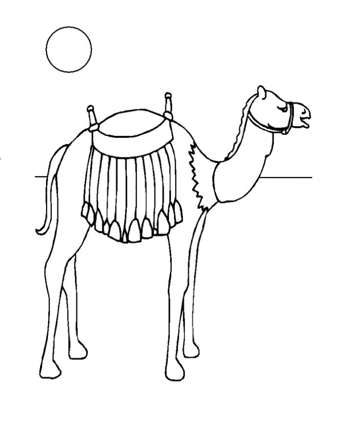 Раскраска Раскраска верблюд пустыня. Верблюд