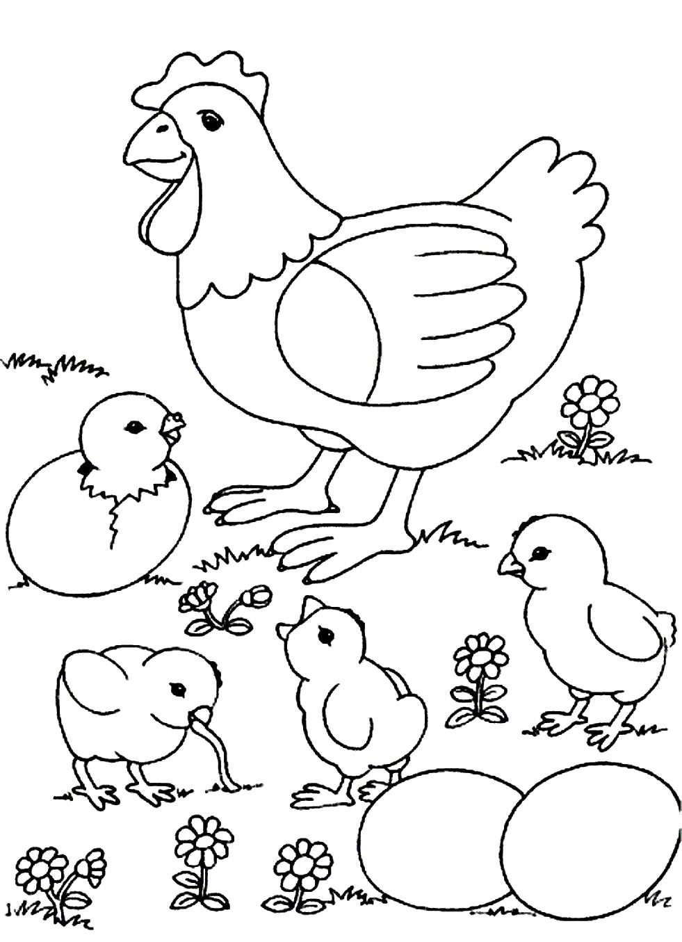 Раскраска Мама и цыплята. Скачать Курица, Цыплята.  Распечатать Домашние животные