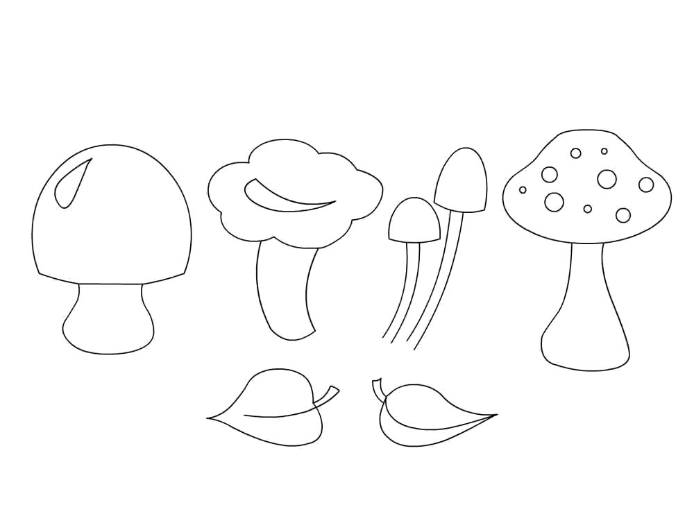 Раскраска разные грибы. Скачать гриб.  Распечатать растения