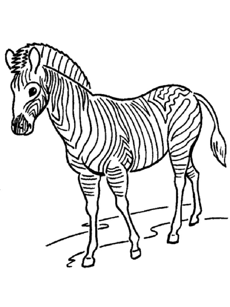 Название: Раскраска Раскраска зебра. Категория: Дикие животные. Теги: зебра.