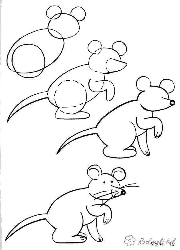 Раскраска  мышь как нарисовать мышь. Скачать как нарисовать.  Распечатать Учимся рисовать