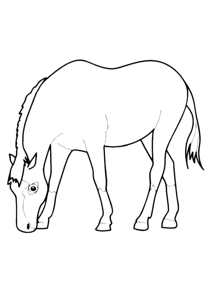 Название: Раскраска  Лошадь пасется. Категория: Домашние животные. Теги: Лошадь.