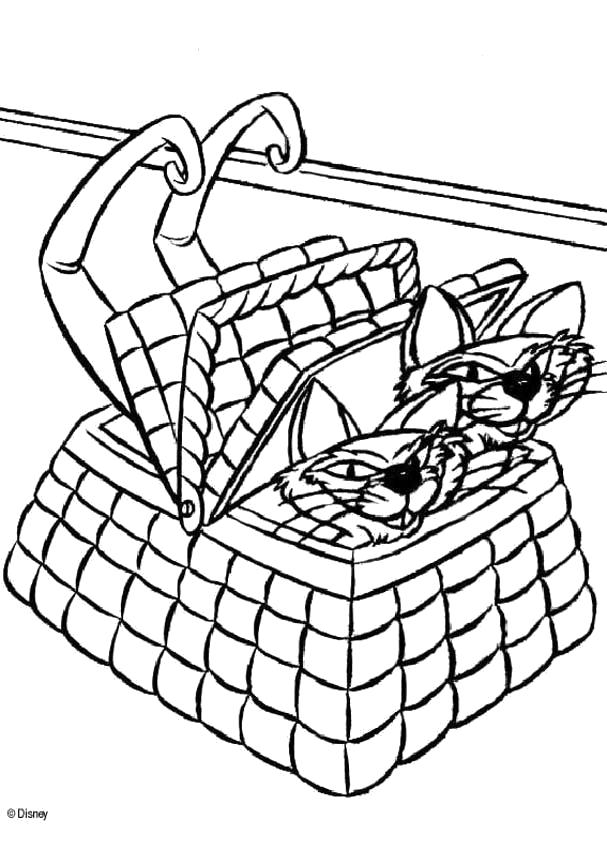 Раскраска Коты в корзине. Домашние животные