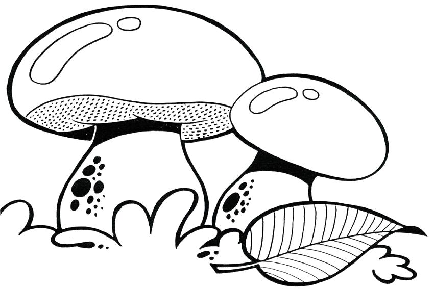 Раскраска Раскраски шаблон гриба грибочке в траве для вырезания из бумаги. растения