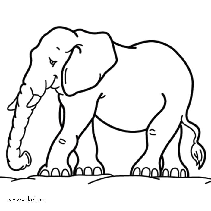 Название: Раскраска Раскраски Слона. Категория: Дикие животные. Теги: слон.