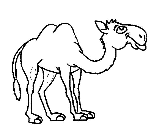 Раскраска Верблюд. животных