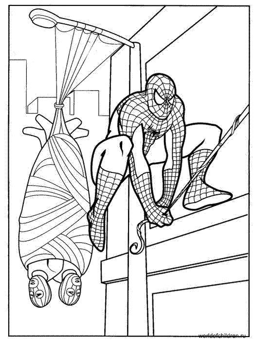 Раскраска Человек паук и кокон из паутины. 