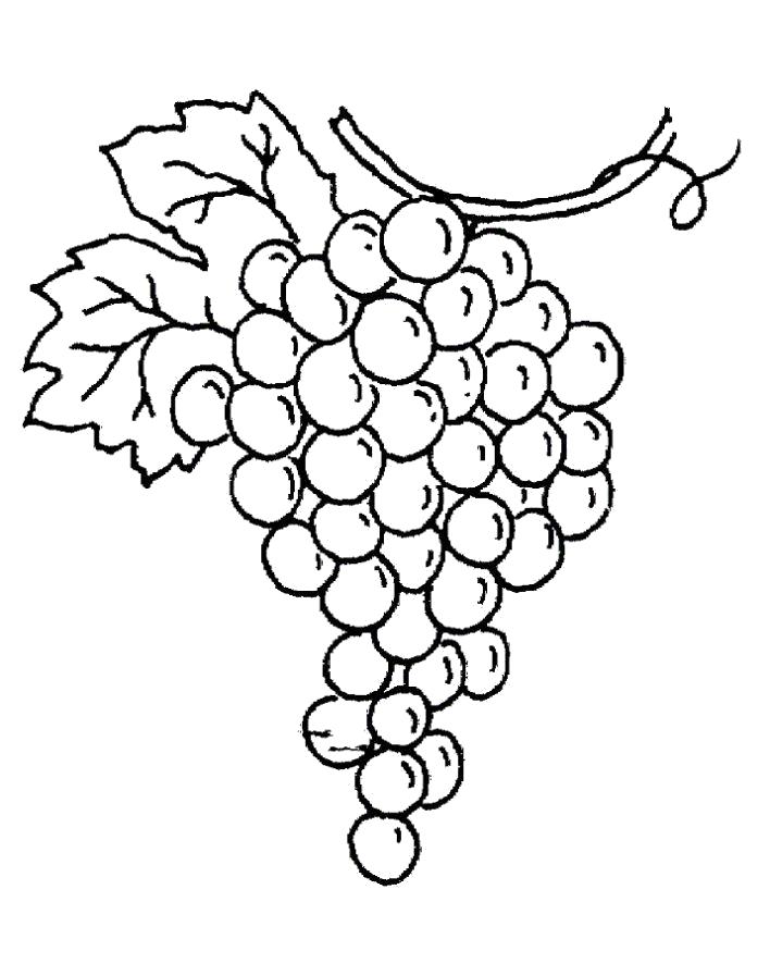 Название: Раскраска Раскраска кисть винограда. Категория: ягоды. Теги: виноград.