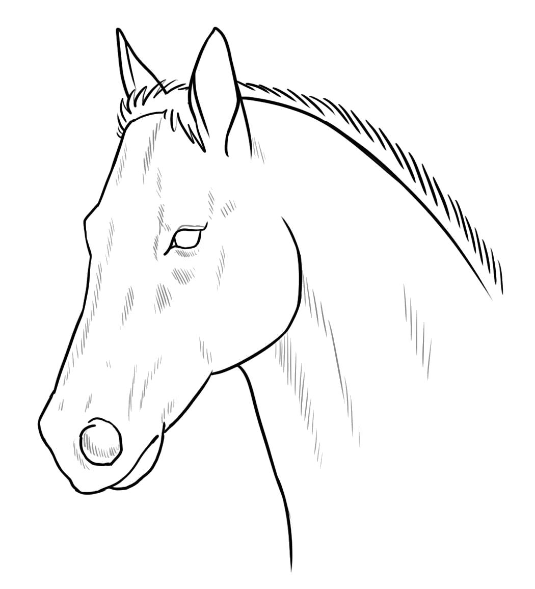 Раскраска раскраска лошадь. Домашние животные