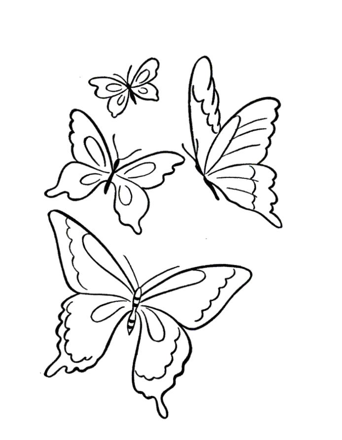 Раскраска Стая бабочек. бабочка