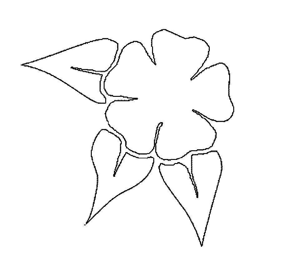 Название: Раскраска Раскраски Цветы шаблоны для вырезания . Категория: растения. Теги: цветы.
