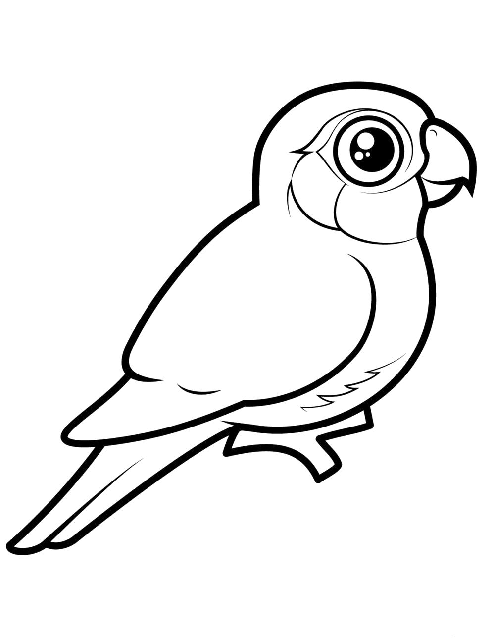 Название: Раскраска Волнистый попугайчик. Категория: попугай. Теги: попугай.