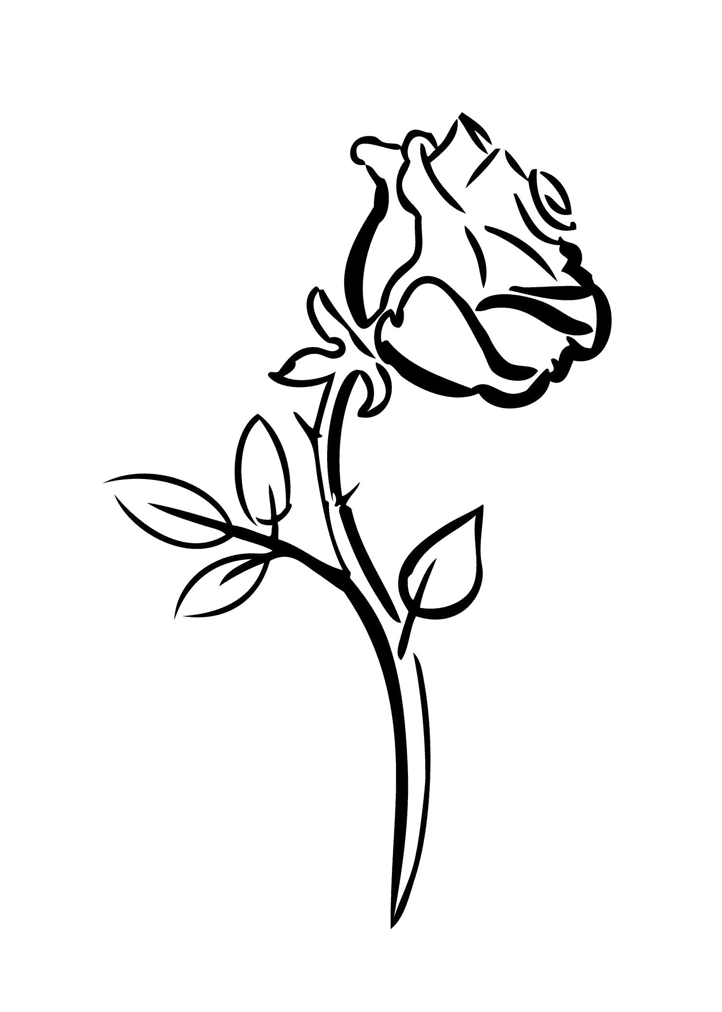 Название: Раскраска Роза. Категория: Цветок. Теги: Цветок.