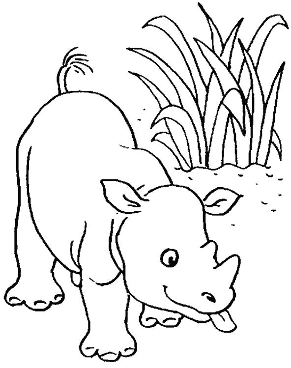 Название: Раскраска игручий носорог. Категория: Дикие животные. Теги: Носорог.