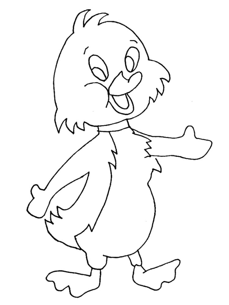 Название: Раскраска Раскраска утка. Категория: Домашние животные. Теги: Утенок.