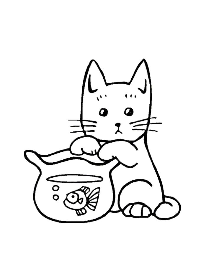 Название: Раскраска  кот и рыба. Категория: Домашние животные. Теги: Аквариумные рыбы, Котенок.