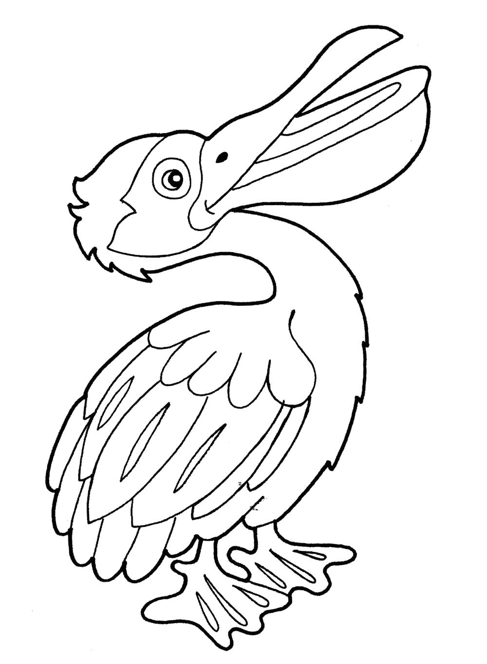 Название: Раскраска Раскраска пеликан. Категория: Пеликан. Теги: Пеликан.