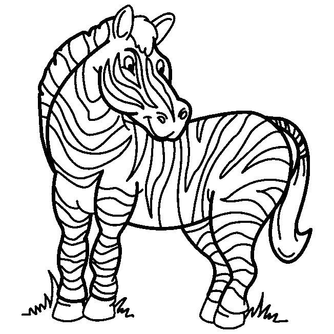 Раскраска Раскраски зебра. Дикие животные