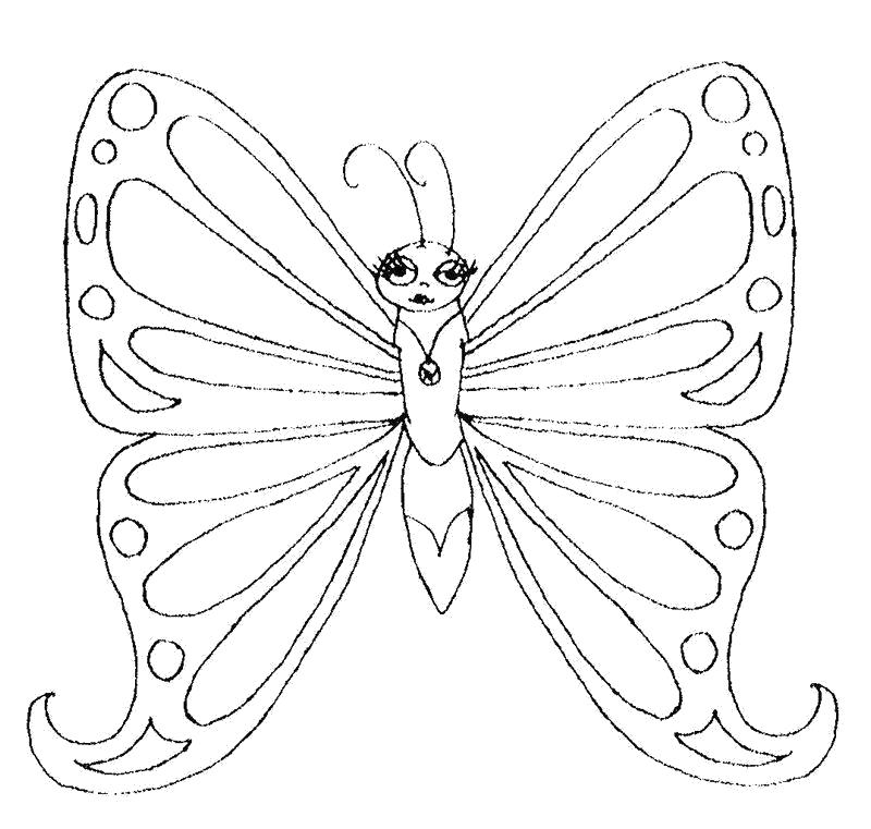 Раскраска картинки бабочек для вырезания. для вырезания