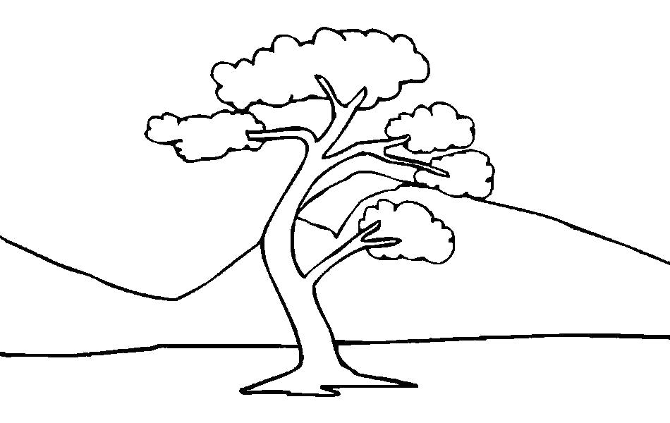 Раскраска Одинокое дерево на фоне гор . Скачать дерево.  Распечатать растения