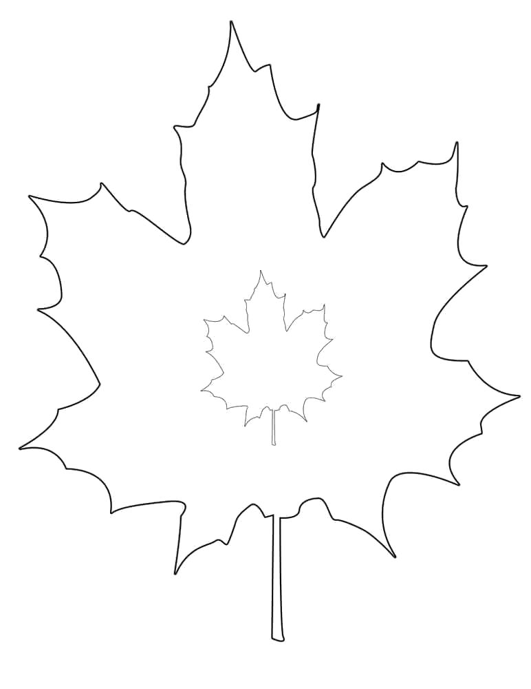 Раскраска канадский клен. Скачать лист.  Распечатать лист