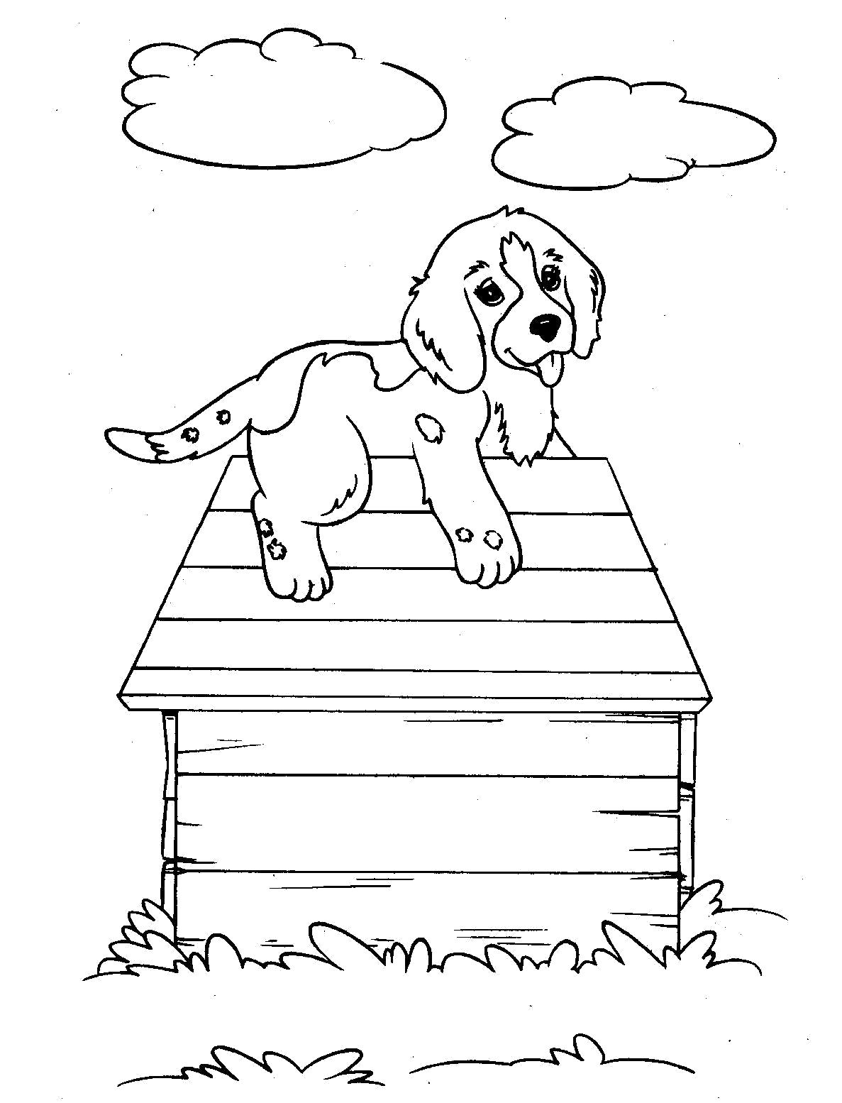 Раскраска собака на будке. Домашние животные
